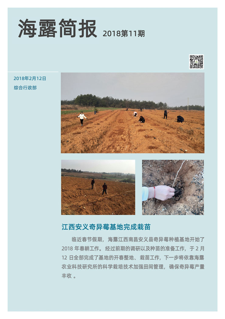 ���ι���|UB8���ι���|�������ý���