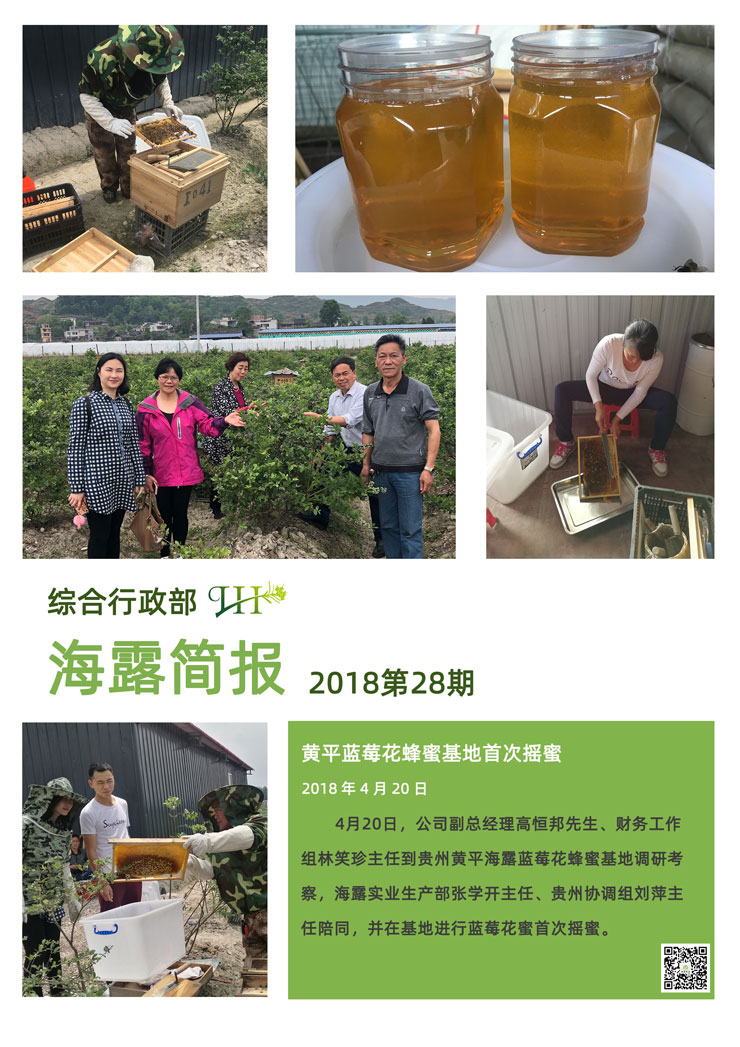 ���ι���|UB8���ι���|�������ý���