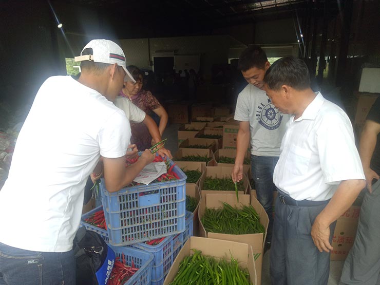 ���ι���|UB8���ι���|�������ý���