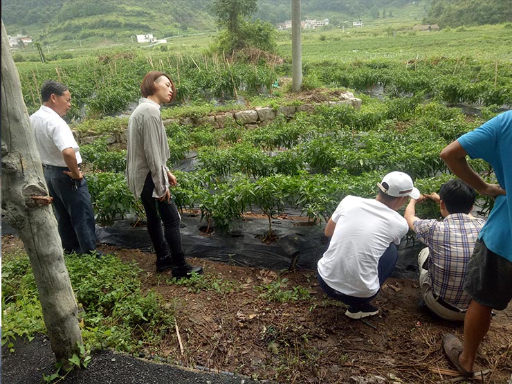 ���ι���|UB8���ι���|�������ý���