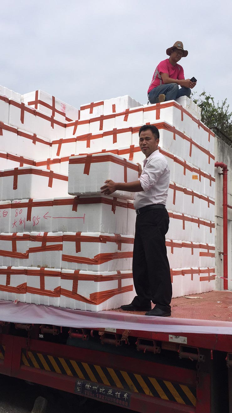 ���ι���|UB8���ι���|�������ý���