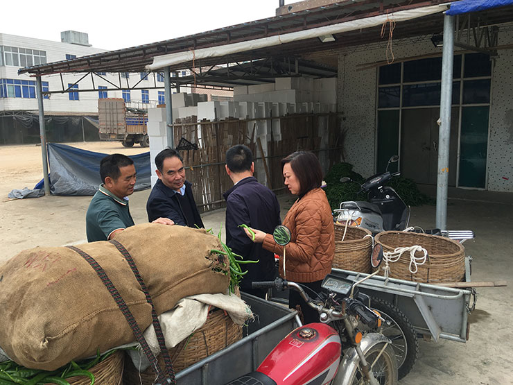 ���ι���|UB8���ι���|�������ý���