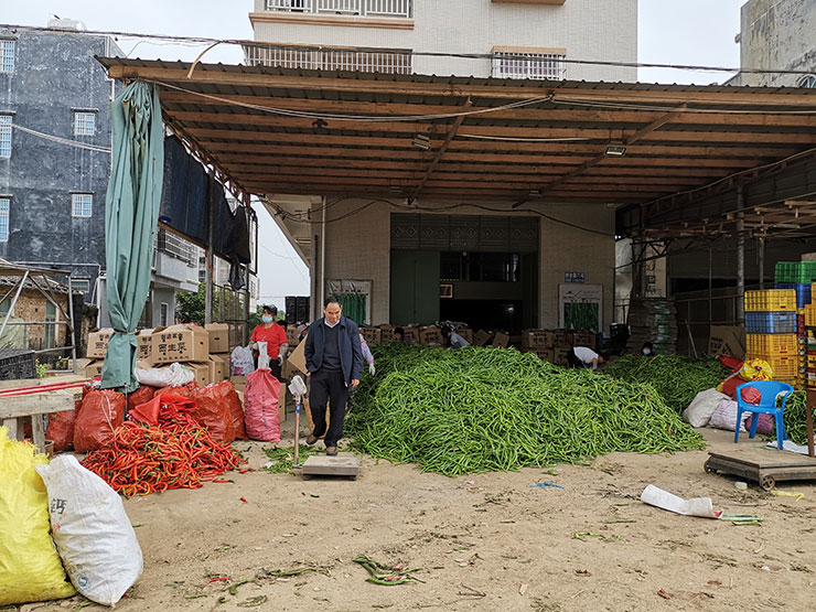 ���ι���|UB8���ι���|�������ý���