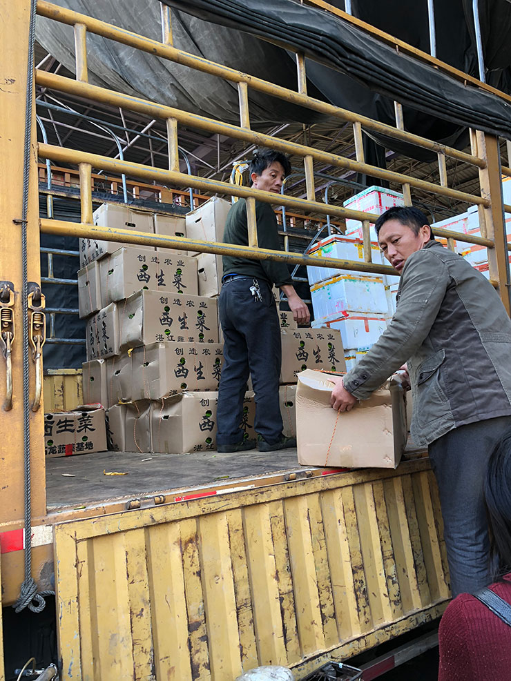 ���ι���|UB8���ι���|�������ý���