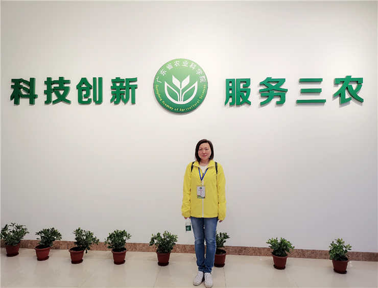 ���ι���|UB8���ι���|�������ý���