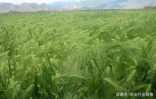 ���ι���|UB8���ι���|�������ý���