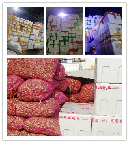 ���ι���|UB8���ι���|�������ý���