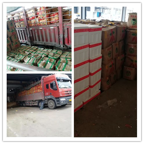 ���ι���|UB8���ι���|�������ý���