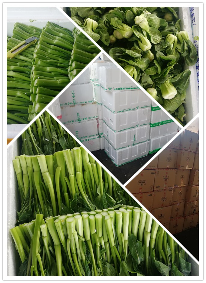 ���ι���|UB8���ι���|�������ý���