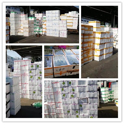 ���ι���|UB8���ι���|�������ý���