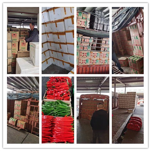 ���ι���|UB8���ι���|�������ý���