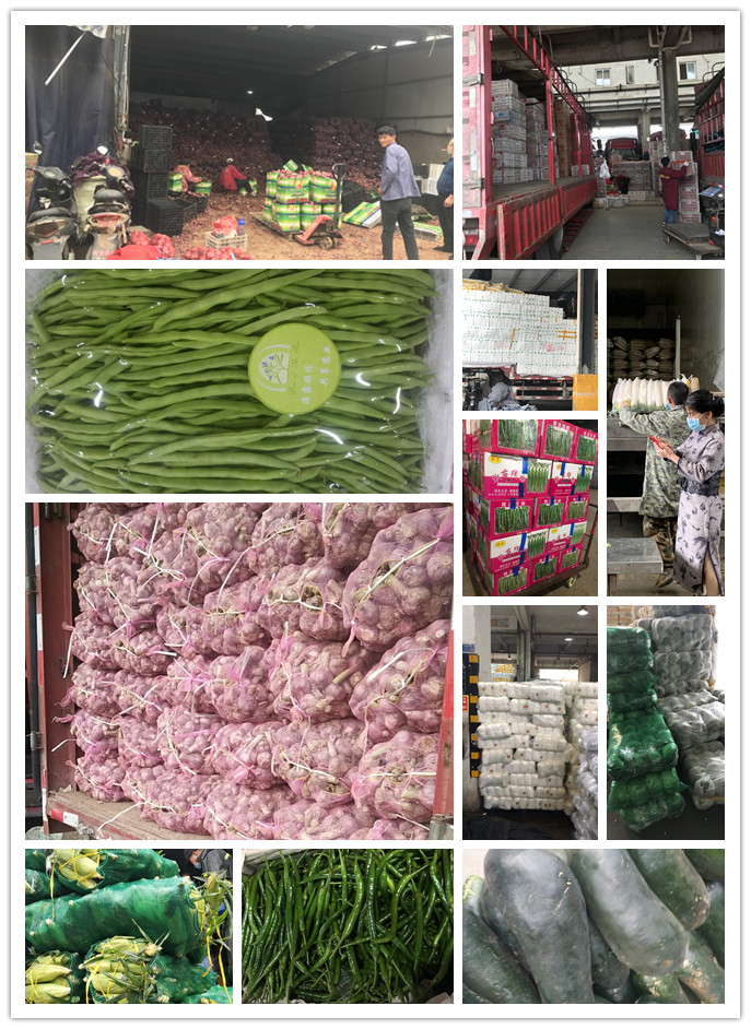 ���ι���|UB8���ι���|�������ý���