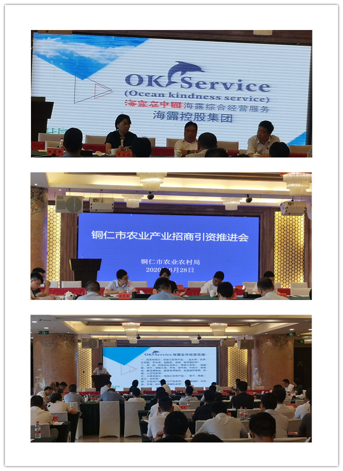 ���ι���|UB8���ι���|�������ý���