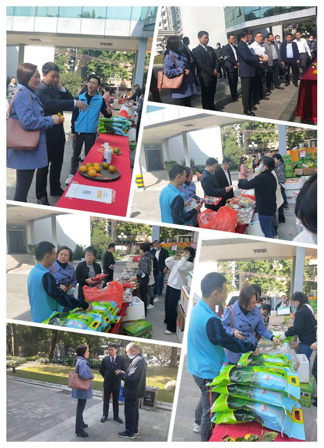 ���ι���|UB8���ι���|�������ý���