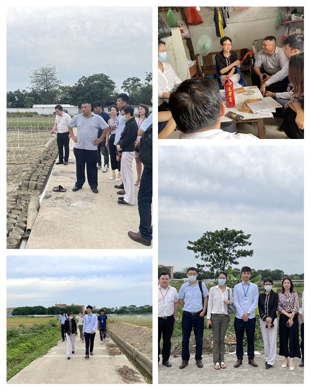 ���ι���|UB8���ι���|�������ý���