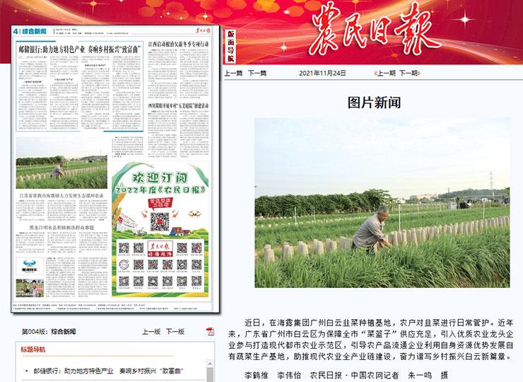 ���ι���|UB8���ι���|�������ý���