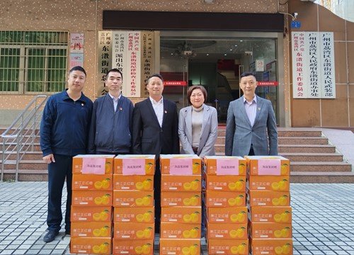 �ᶨ�����������������ٷ�չ