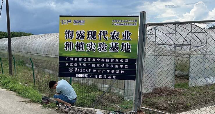 ���ι���|UB8���ι���|�������ý���