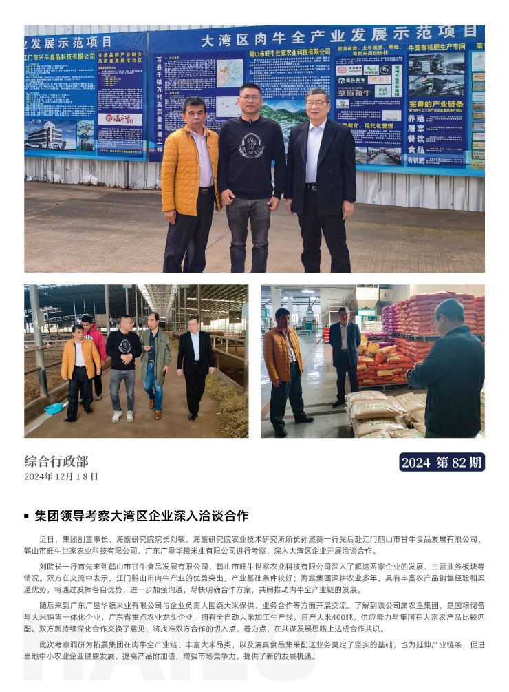 ���ι���|UB8���ι���|�������ý���