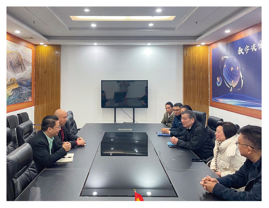 ���ι���|UB8���ι���|�������ý���