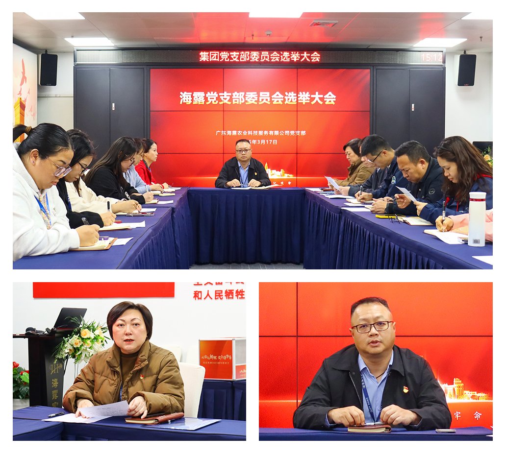 ���ι���|UB8���ι���|�������ý���