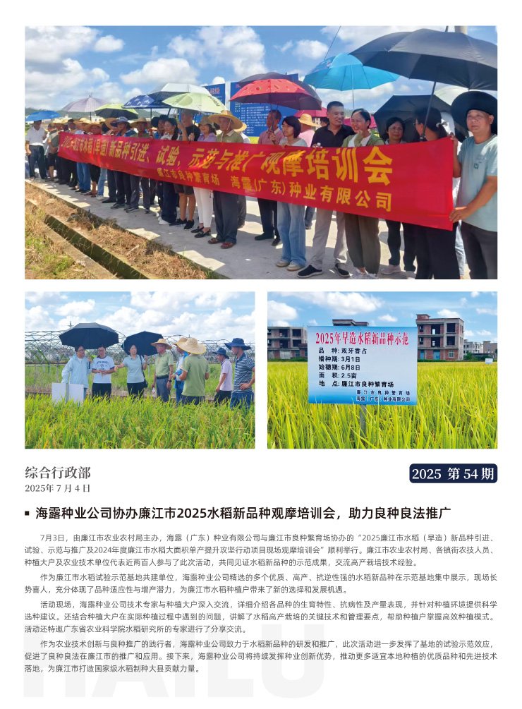 ���ι���|UB8���ι���|�������ý���