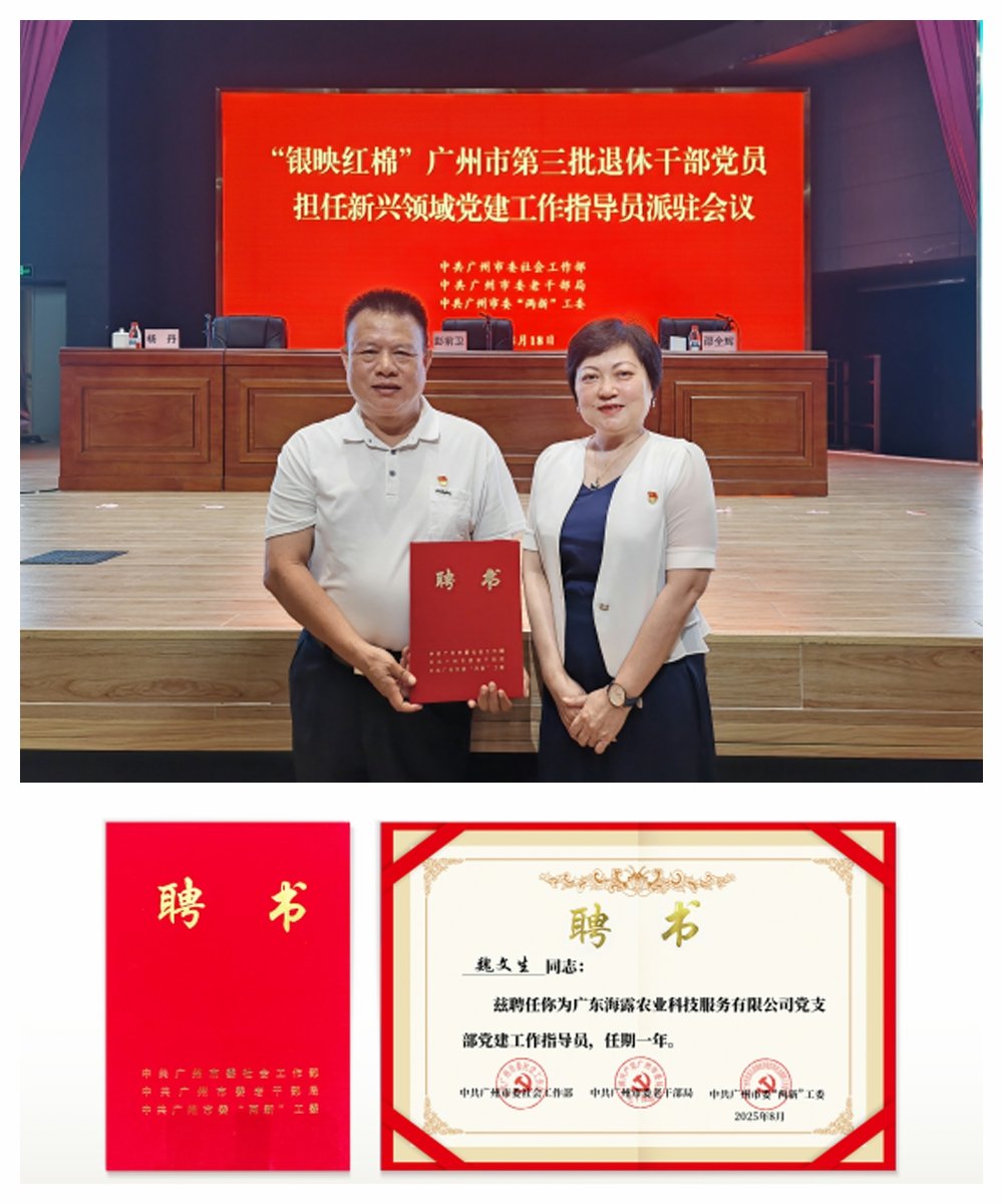 ���ι���|UB8���ι���|�������ý���