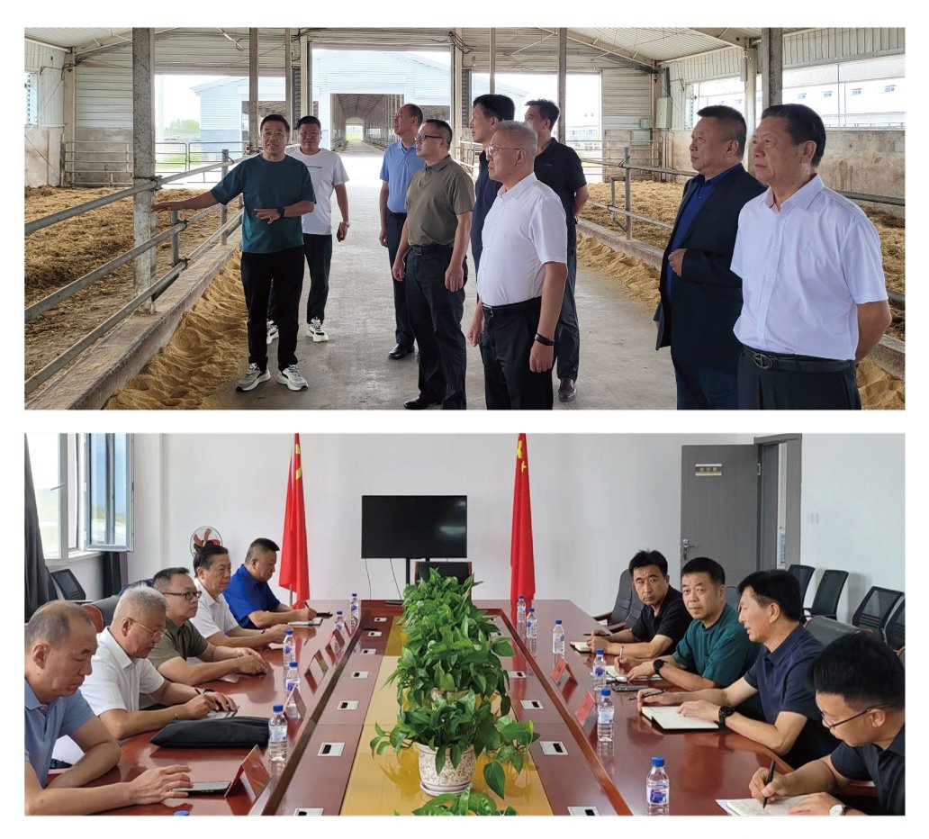 ���ι���|UB8���ι���|�������ý���